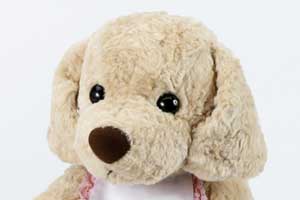 �E�G�C�g�p�s�[�i�E�G�C�g�h�b�O�j ���C�g�u���E��