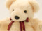 �̏d�x�A �T���N�X�e�f�B�x�A�E�X�^���_�[�h