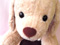 �E�G�C�g�h�b�O��E�G�C�g�p�s�[