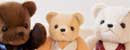 �g���̏d�x�A�uTW�i�g�[�����E�G�C�g�j�v