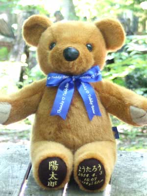 �̏d�x�A�T���N�X �e�f�B�x�A�b�X�^���_�[�h���i�A�C�{���[�j
