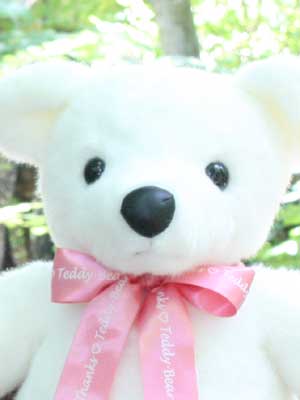 �̏d�x�A�T���N�X �e�f�B�x�A�b�X�^���_�[�h���i�A�C�{���[�j
