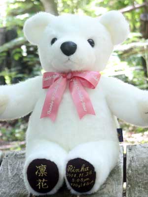 �̏d�x�A�T���N�X �e�f�B�x�A�b�X�^���_�[�h���i�A�C�{���[�j